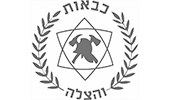 הרשות הארצית לכבאות והצלה