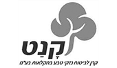 קנט